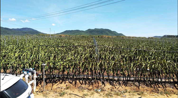 3 phase 380V Built in Bypass Soft Starter 30A 45A